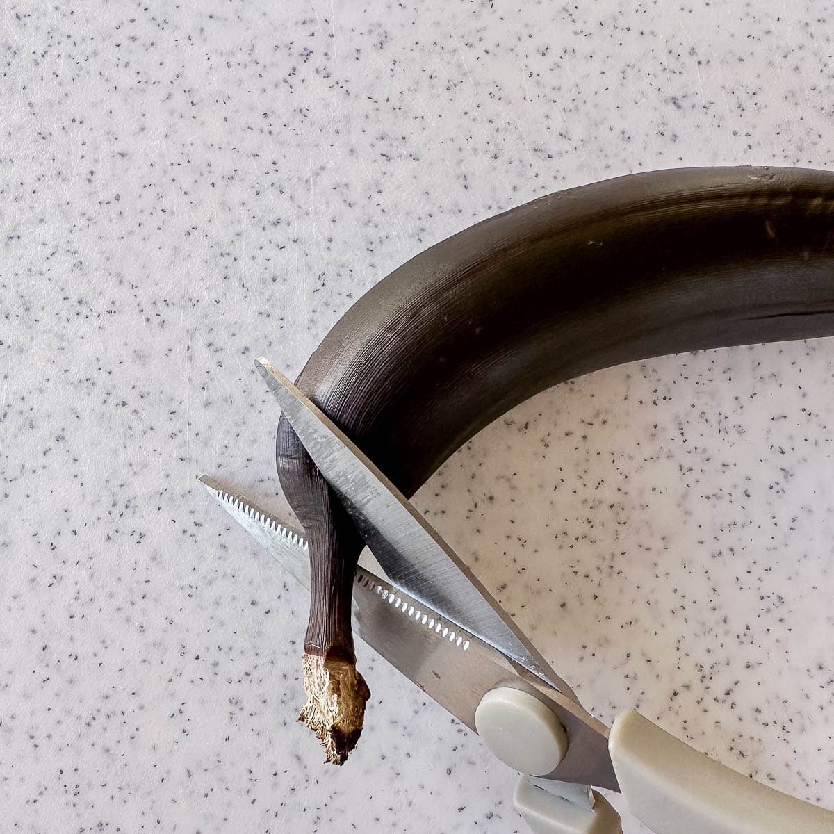 A pair of scissors cutting the stalk of an overripe, black banana on a white speckled surface.